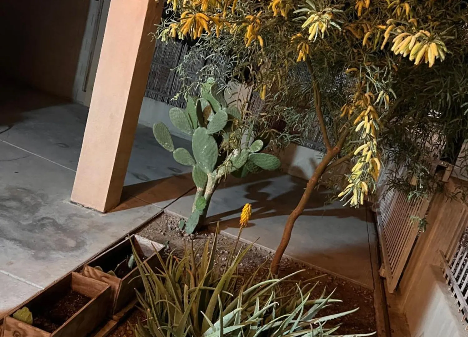 Secluded Downtown 3 Bedroom Home Phoenix Dom wakacyjny